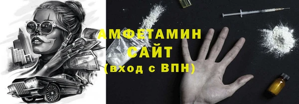 прущие грибы Медногорск