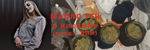 прущие грибы Медногорск