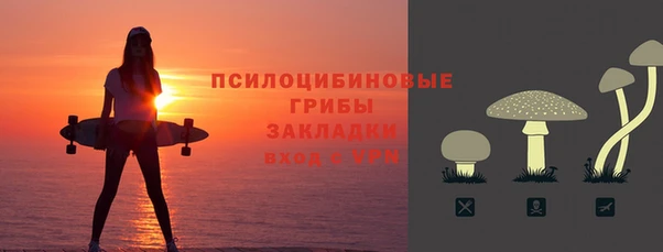 прущие грибы Медногорск