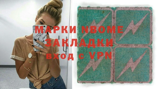 прущие грибы Медногорск