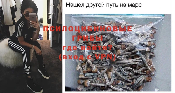 прущие крисы Себеж