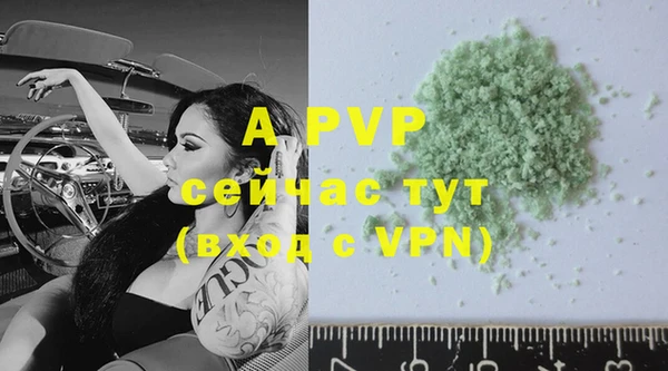 стафф Майский