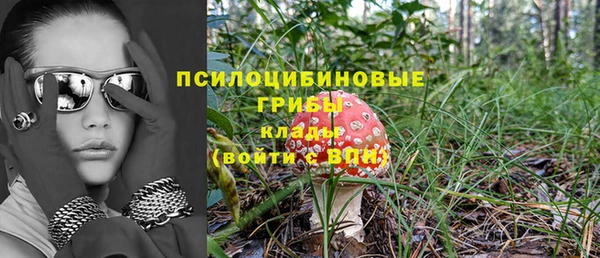 стафф Майский