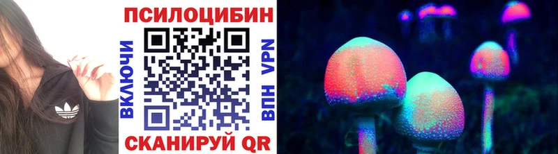Галлюциногенные грибы мицелий  блэк спрут рабочий сайт  Прокопьевск  где продают  