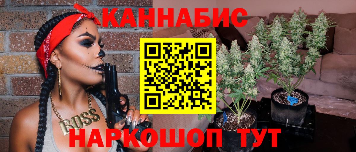 Марихуана план  Марихуана ГИДРОПОН  Бошки марихуана конопля  Прокопьевск  Канабис гибрид 